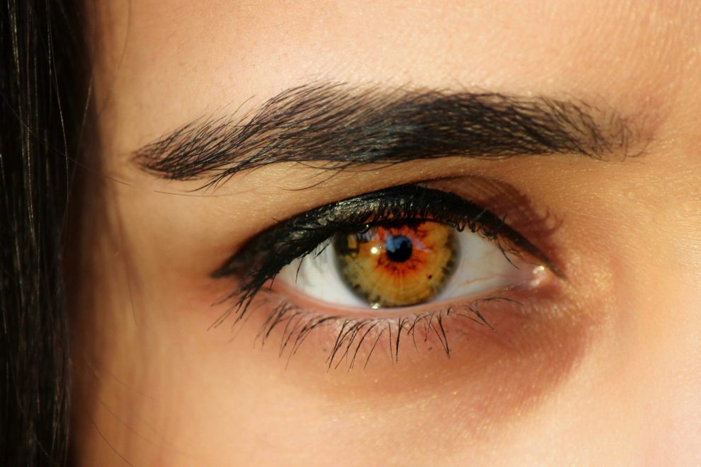 aditya-sethia-xFvGVDp3cYE-unsplash